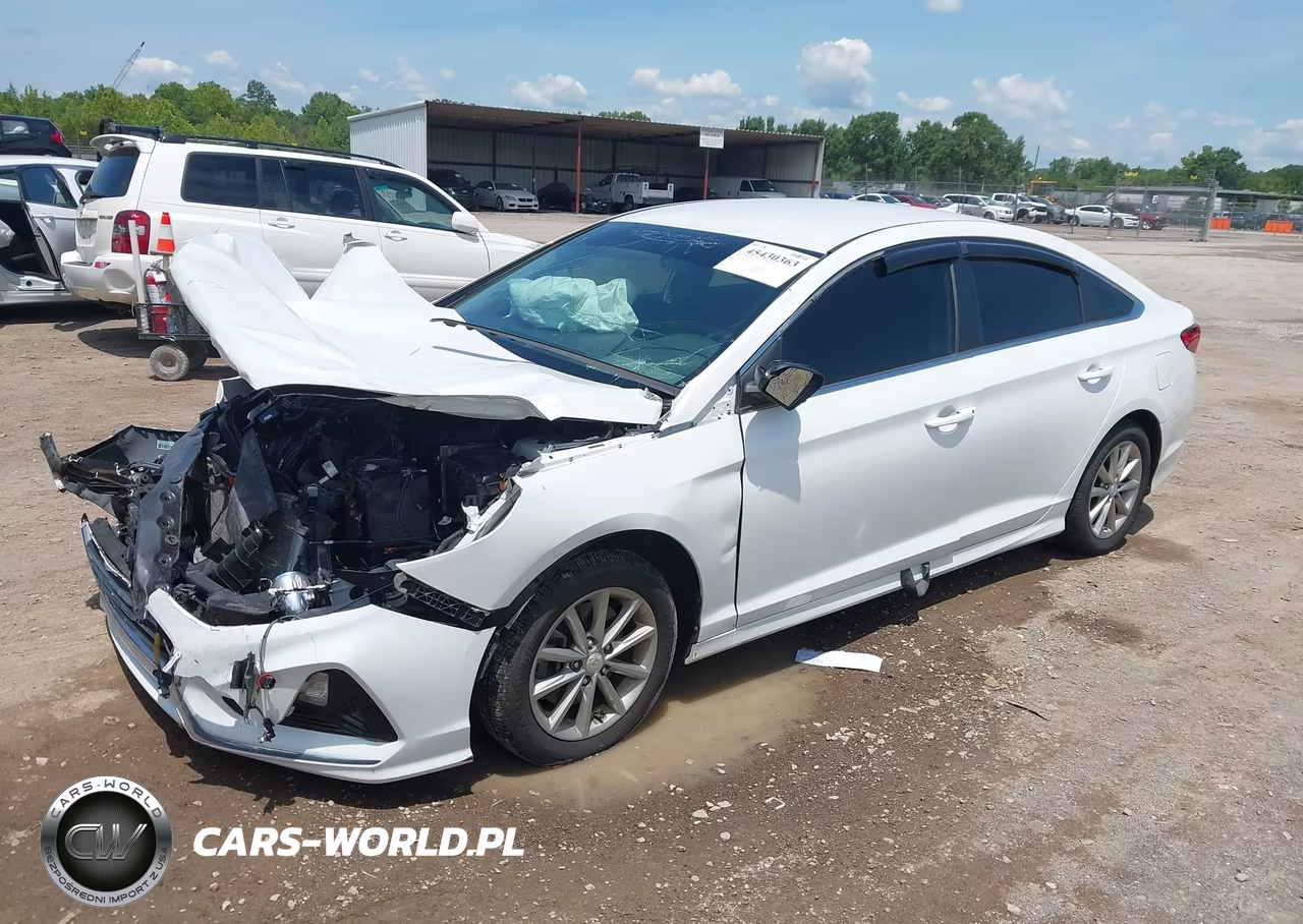 2019 Hyundai Sonata Se VIN:5NPE24AF2KH759698 - 2