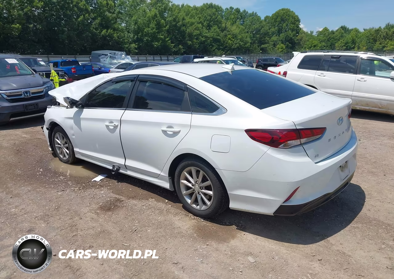 2019 Hyundai Sonata Se VIN:5NPE24AF2KH759698 - 3