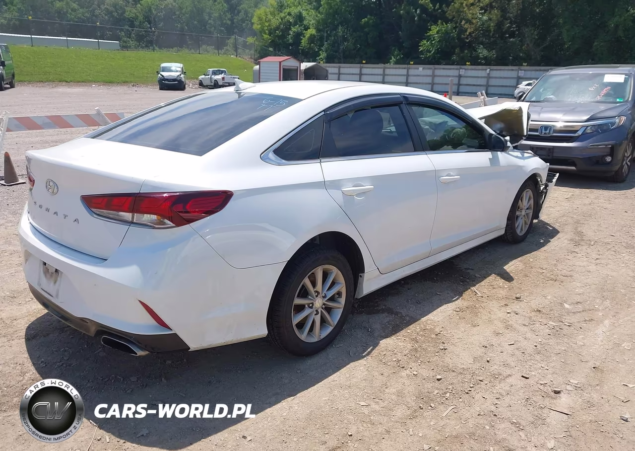 2019 Hyundai Sonata Se VIN:5NPE24AF2KH759698 - 4