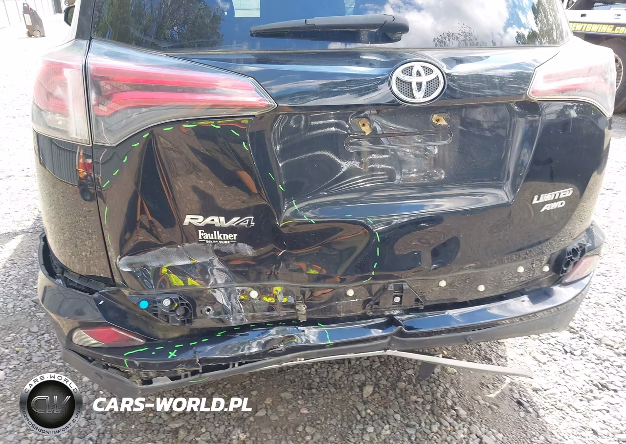 2016 Toyota Rav4 Limited VIN:2T3DFREV7GW501207 - 6