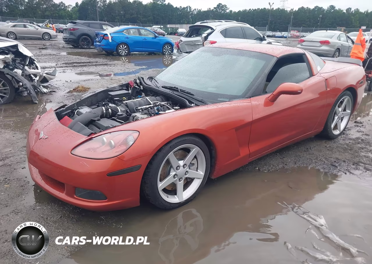 2005 Chevrolet Corvette VIN:1G1YY24U455115594 - 2