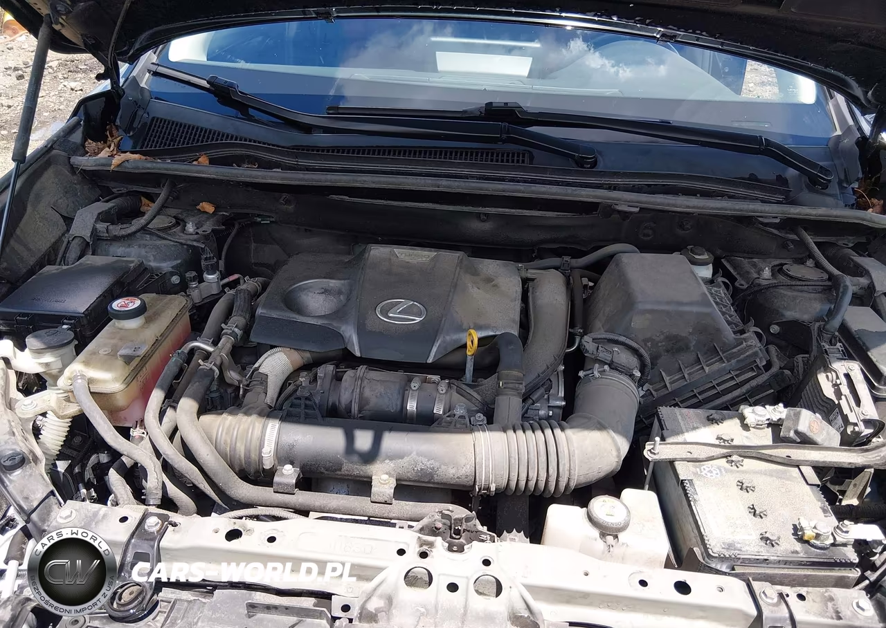 2021 Lexus Nx 300 VIN:JTJDARDZ2M2236703 - 10