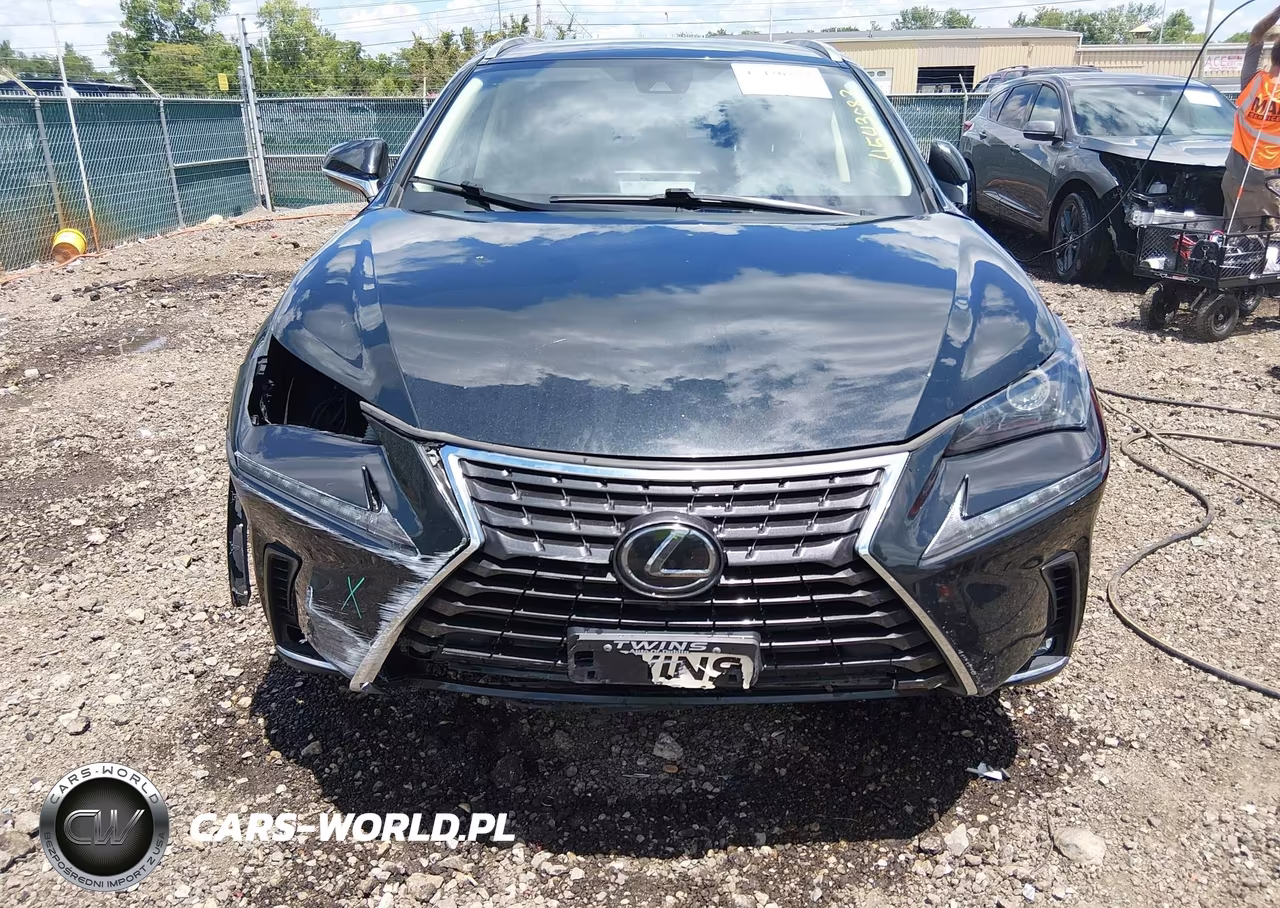 2021 Lexus Nx 300 VIN:JTJDARDZ2M2236703 - 13