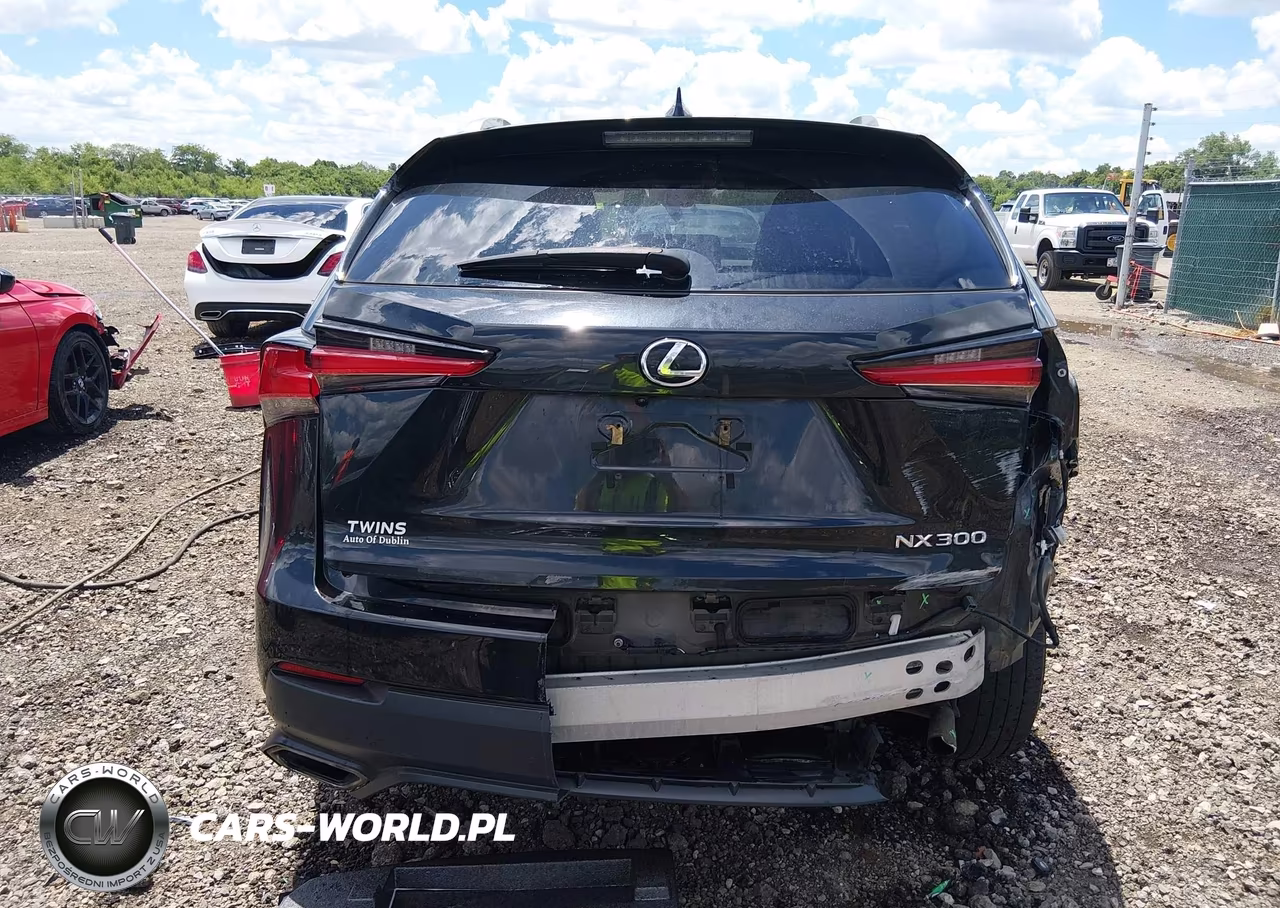 2021 Lexus Nx 300 VIN:JTJDARDZ2M2236703 - 17