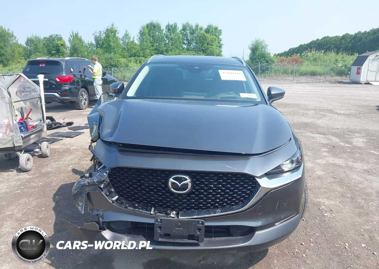 2023 Mazda Cx-30 2.5 S Premium VIN:3MVDMBDM7PM505859 - 12
