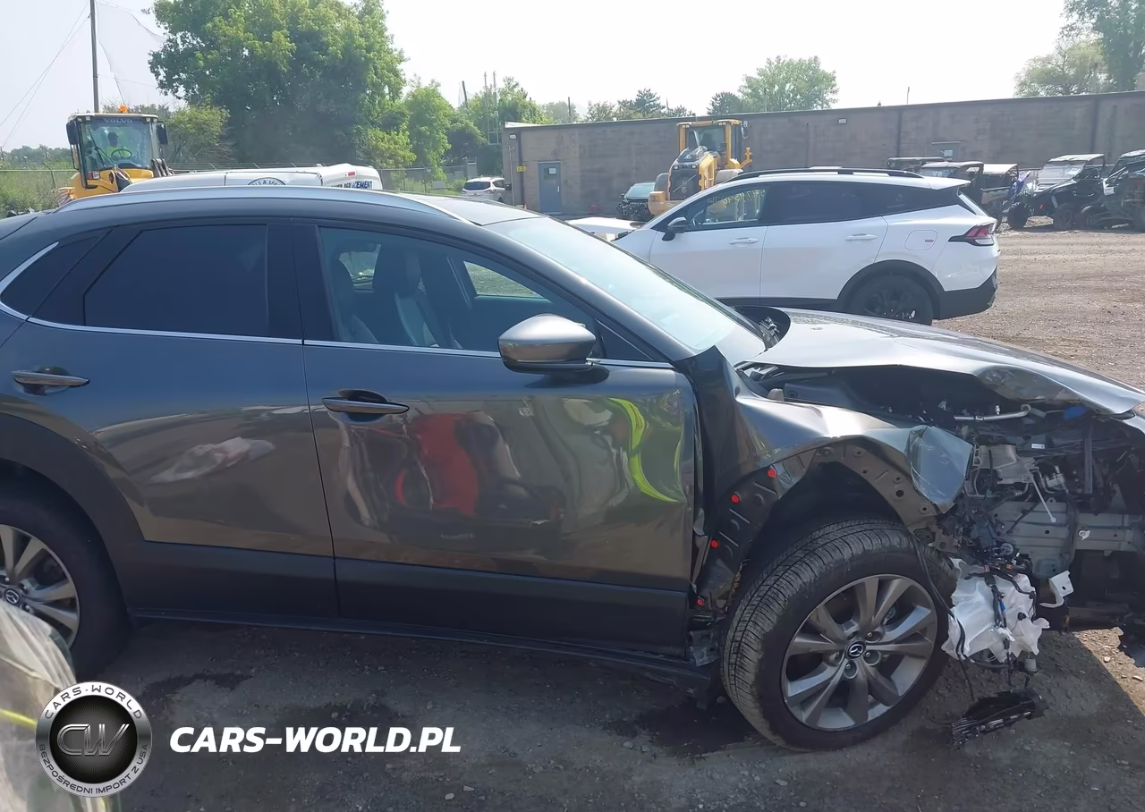 2023 Mazda Cx-30 2.5 S Premium VIN:3MVDMBDM7PM505859 - 13