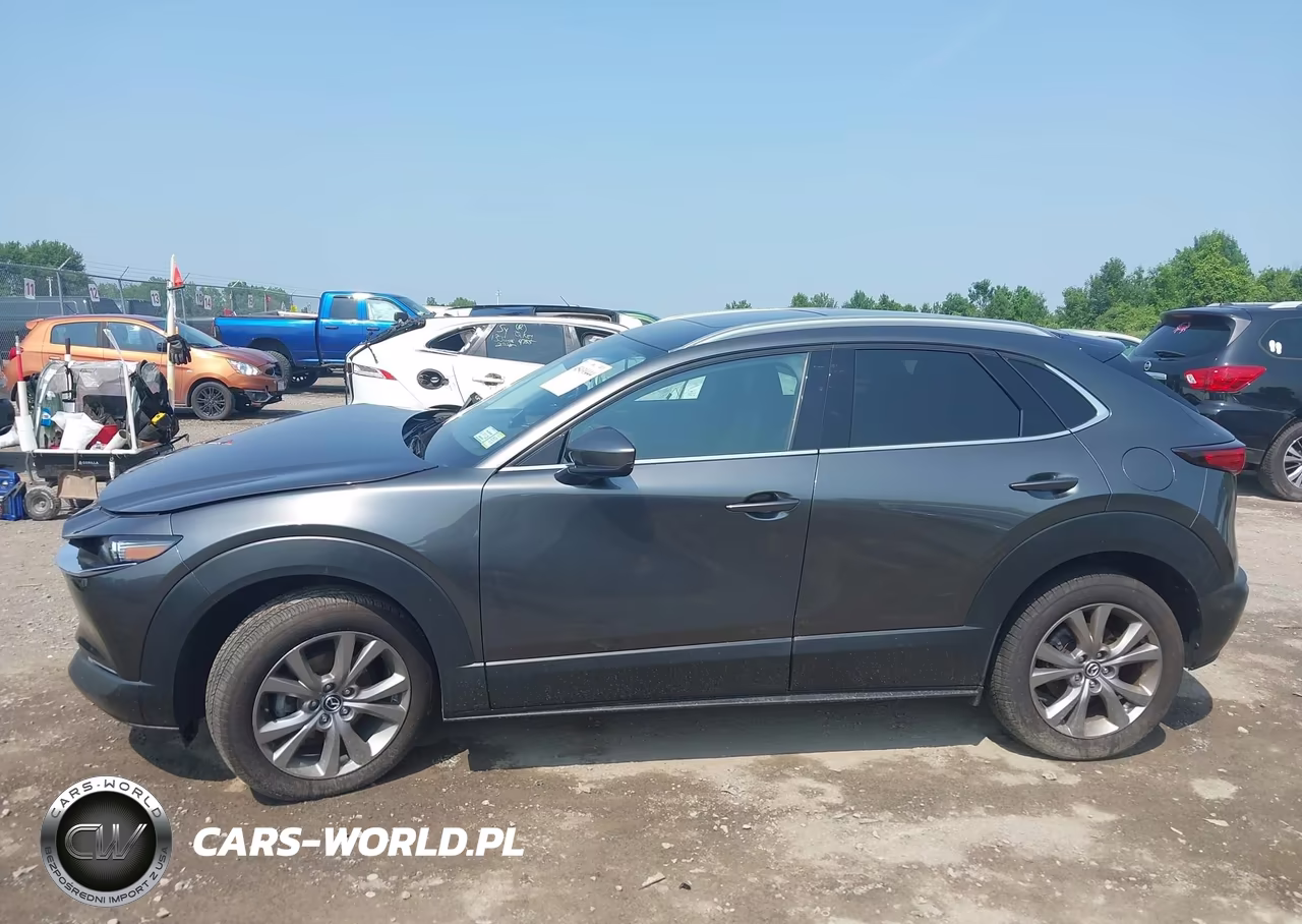 2023 Mazda Cx-30 2.5 S Premium VIN:3MVDMBDM7PM505859 - 14
