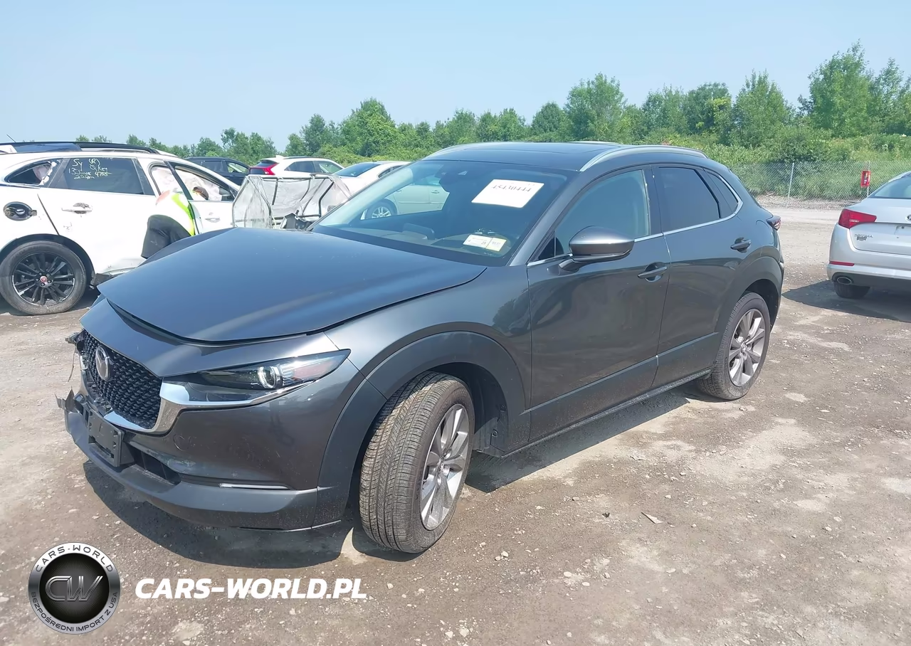 2023 Mazda Cx-30 2.5 S Premium VIN:3MVDMBDM7PM505859 - 2