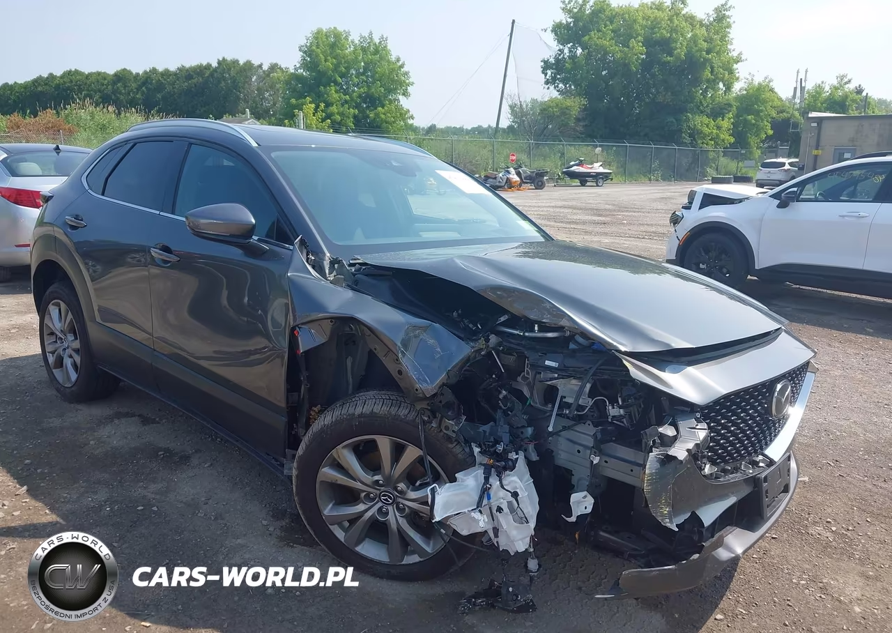 2023 Mazda Cx-30 2.5 S Premium VIN:3MVDMBDM7PM505859 - 6