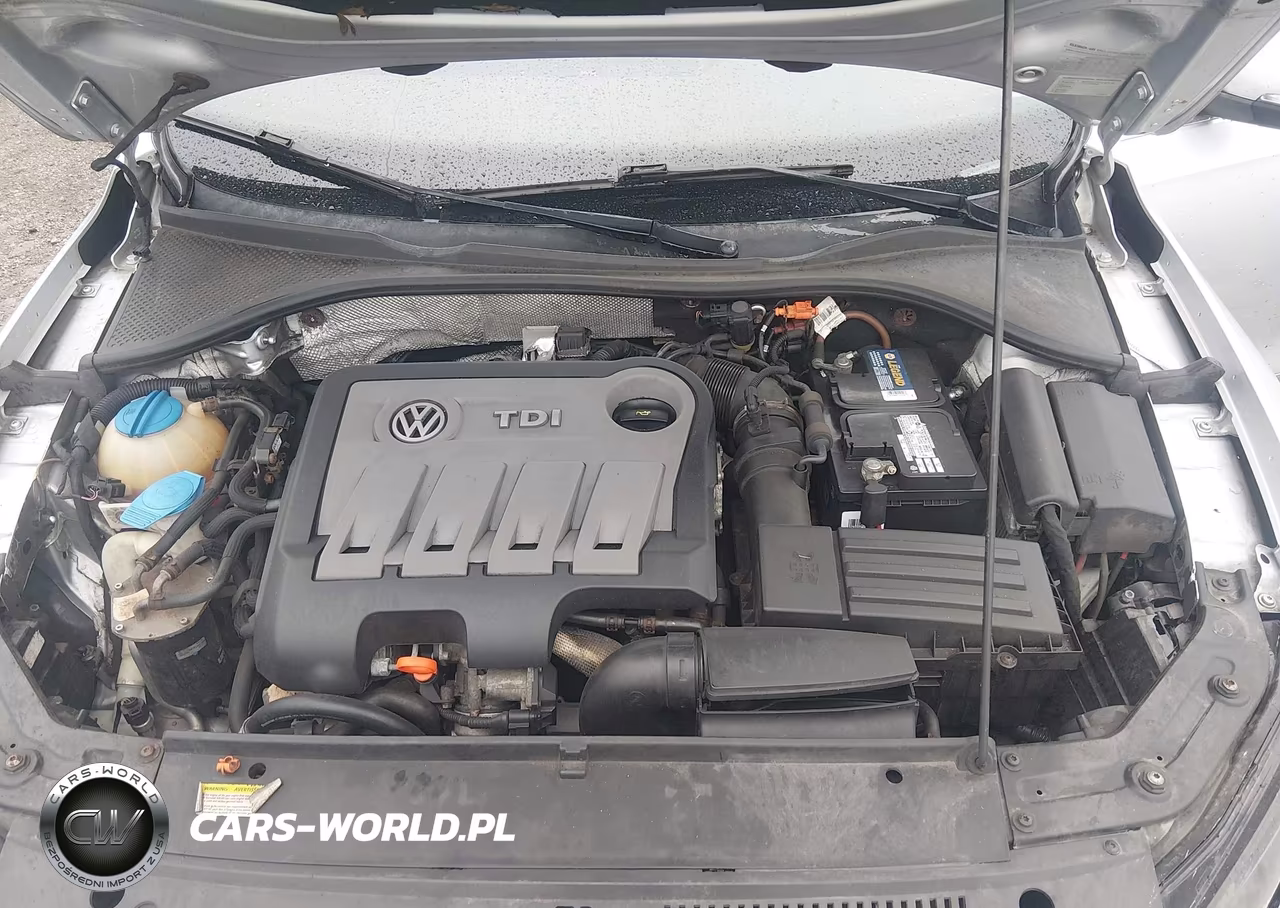 2013 Volkswagen Passat 2.0L Tdi Sel Premium VIN:1VWCN7A31DC097209 - 10
