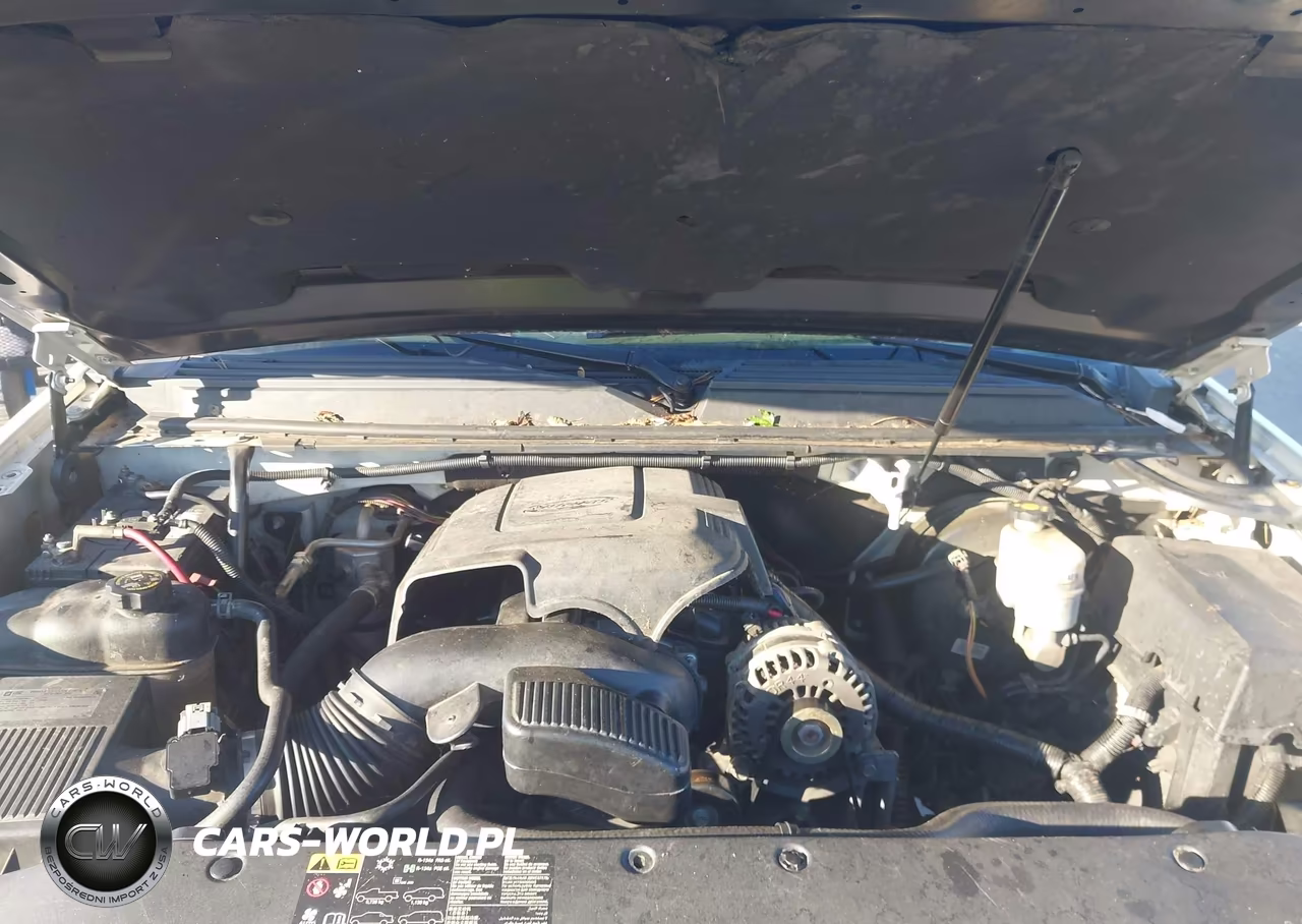 2013 Cadillac Escalade Premium VIN:1GYS3CEF8DR334903 - 10