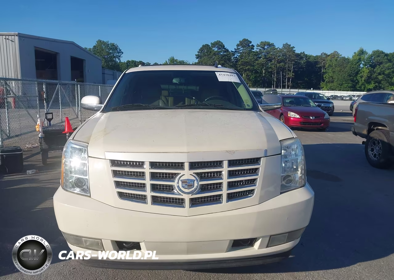 2013 Cadillac Escalade Premium VIN:1GYS3CEF8DR334903 - 12