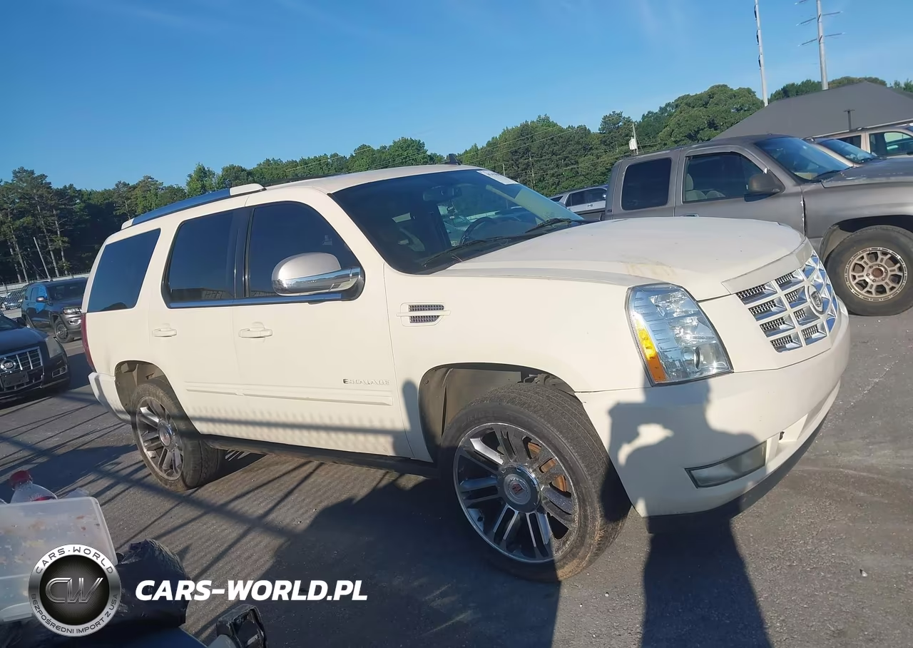 2013 Cadillac Escalade Premium VIN:1GYS3CEF8DR334903 - 13