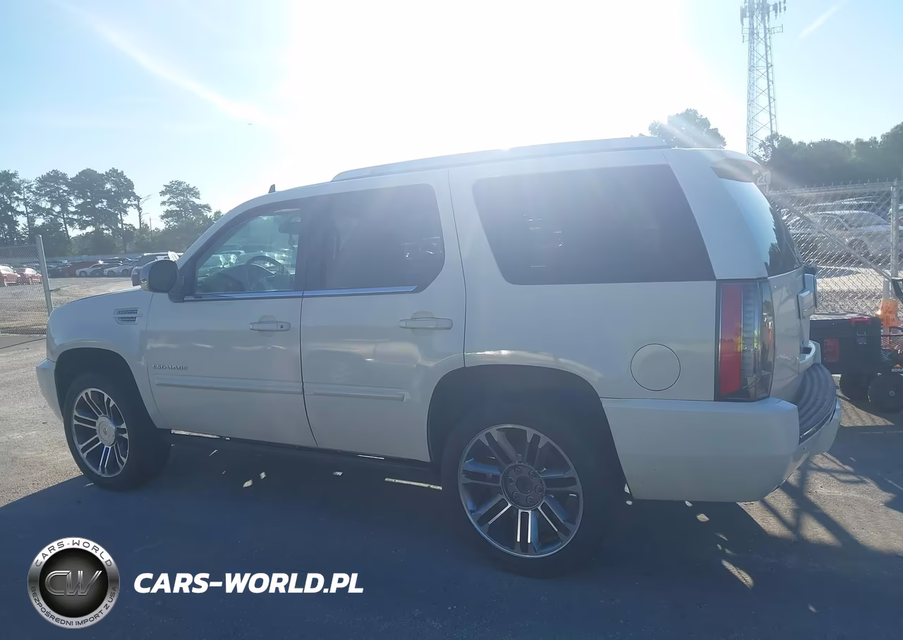 2013 Cadillac Escalade Premium VIN:1GYS3CEF8DR334903 - 14