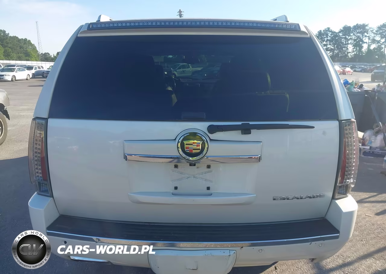 2013 Cadillac Escalade Premium VIN:1GYS3CEF8DR334903 - 16