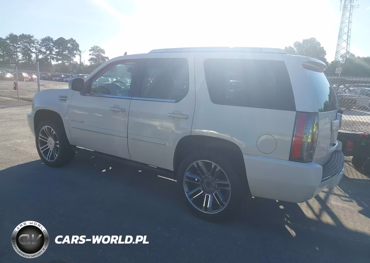 2013 Cadillac Escalade Premium VIN:1GYS3CEF8DR334903 - 3