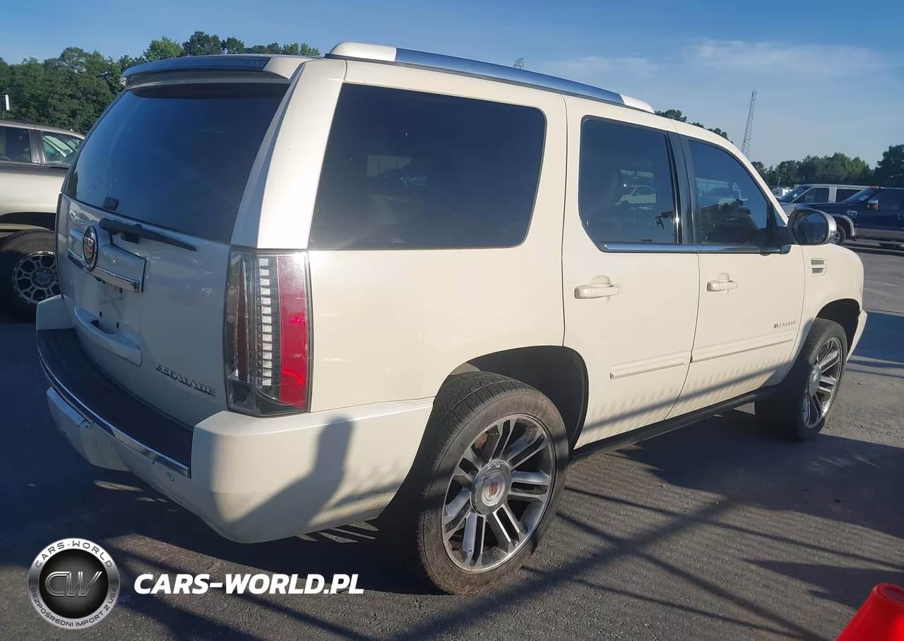 2013 Cadillac Escalade Premium VIN:1GYS3CEF8DR334903 - 4