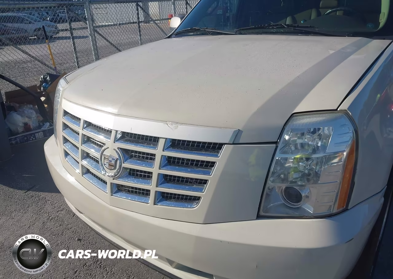 2013 Cadillac Escalade Premium VIN:1GYS3CEF8DR334903 - 6