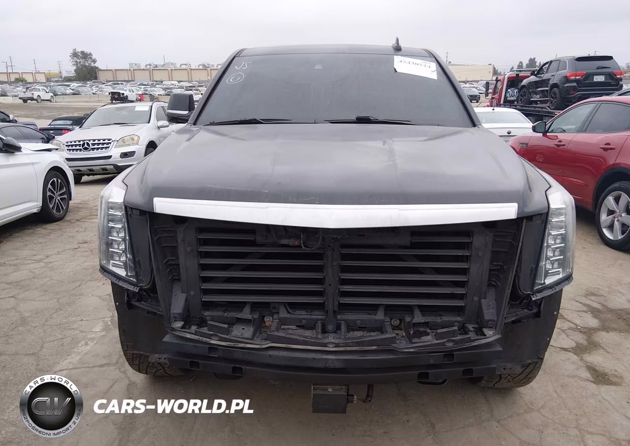 2019 Cadillac Escalade Esv Platinum VIN:1GYS4KKJ0KR243704 - 12