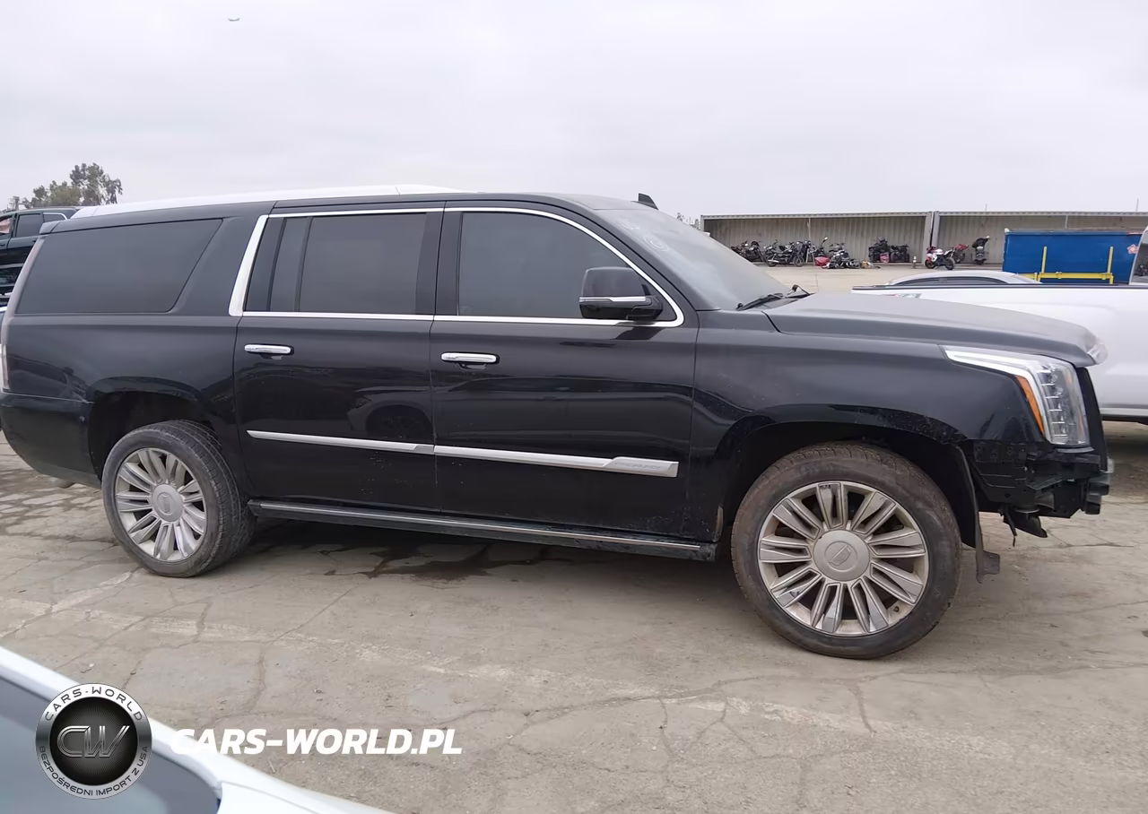 2019 Cadillac Escalade Esv Platinum VIN:1GYS4KKJ0KR243704 - 13