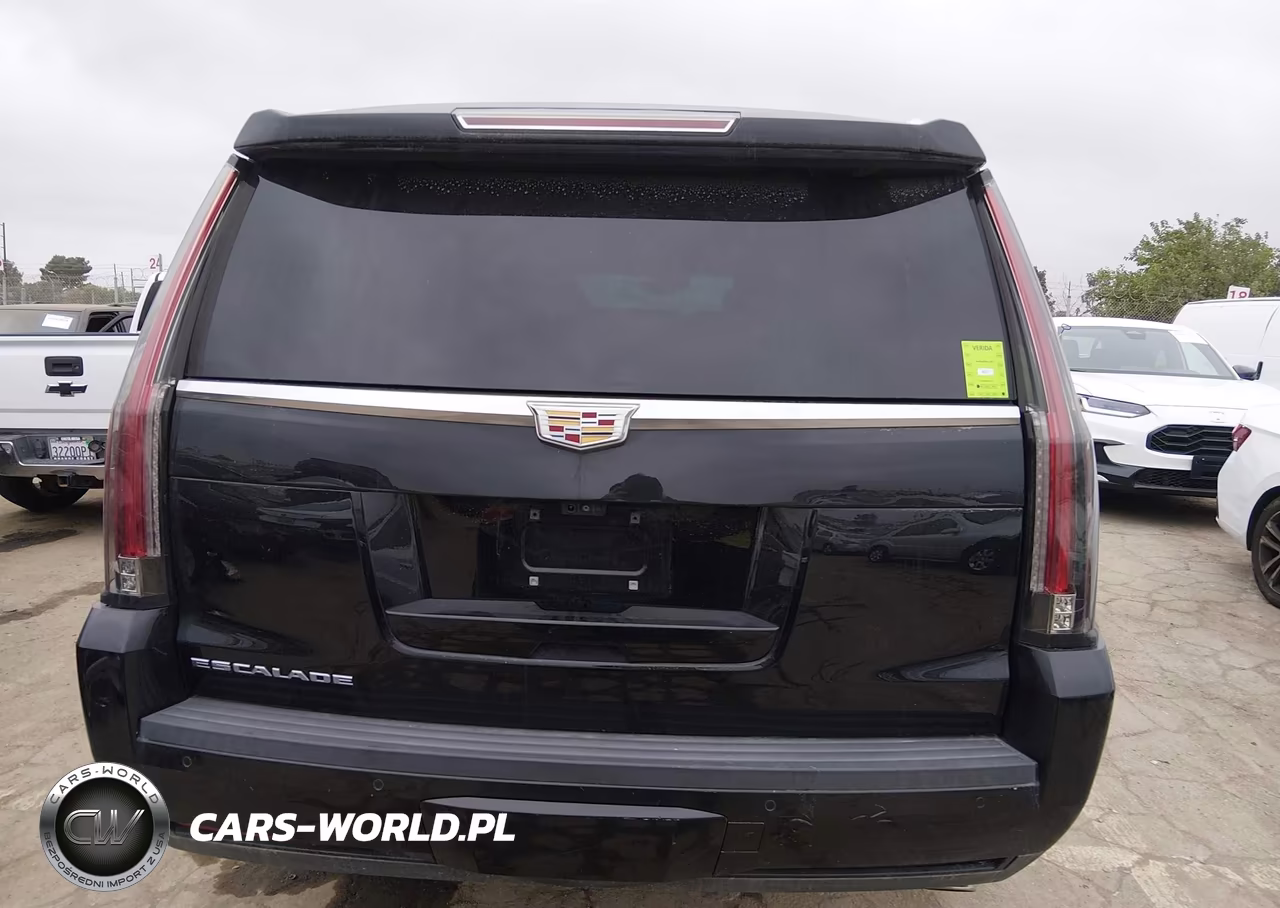 2019 Cadillac Escalade Esv Platinum VIN:1GYS4KKJ0KR243704 - 16