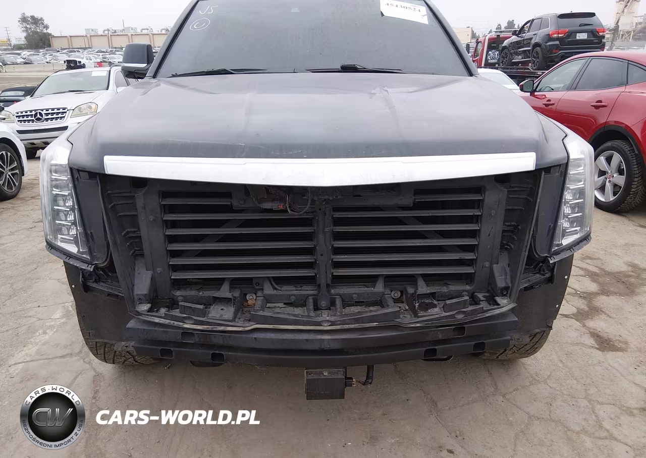 2019 Cadillac Escalade Esv Platinum VIN:1GYS4KKJ0KR243704 - 18