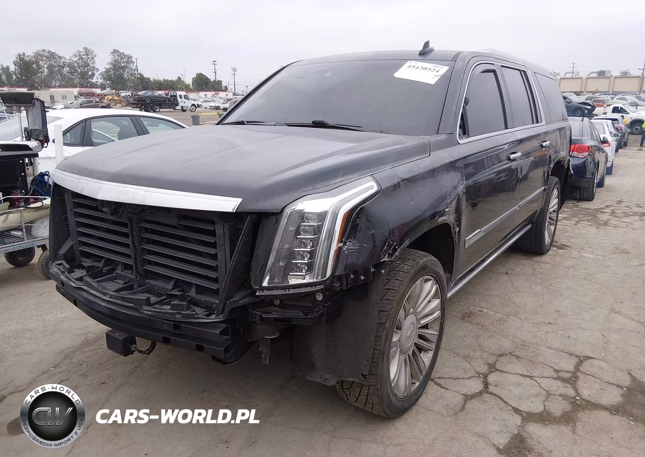 2019 Cadillac Escalade Esv Platinum VIN:1GYS4KKJ0KR243704 - 2