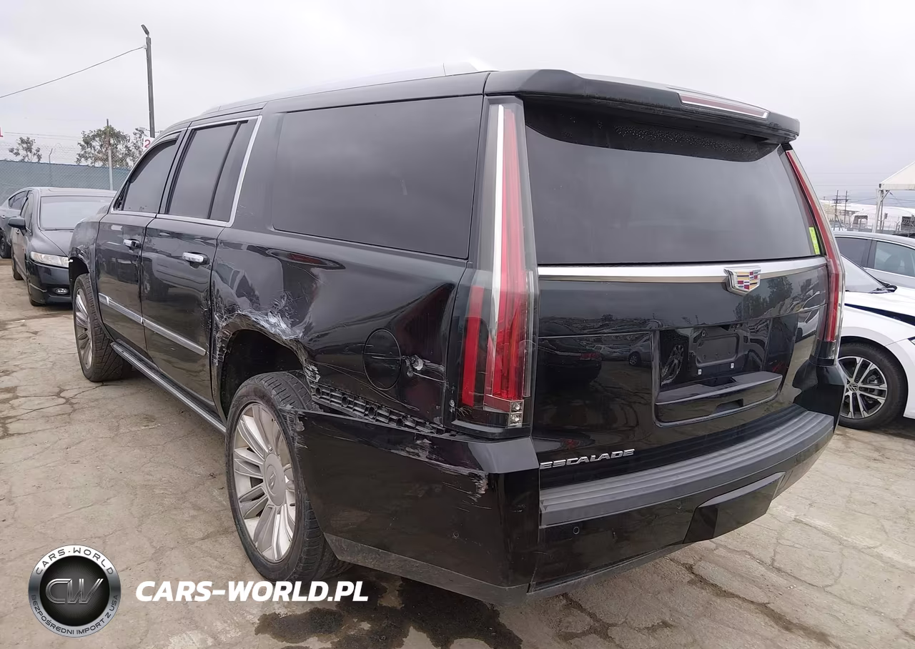 2019 Cadillac Escalade Esv Platinum VIN:1GYS4KKJ0KR243704 - 3
