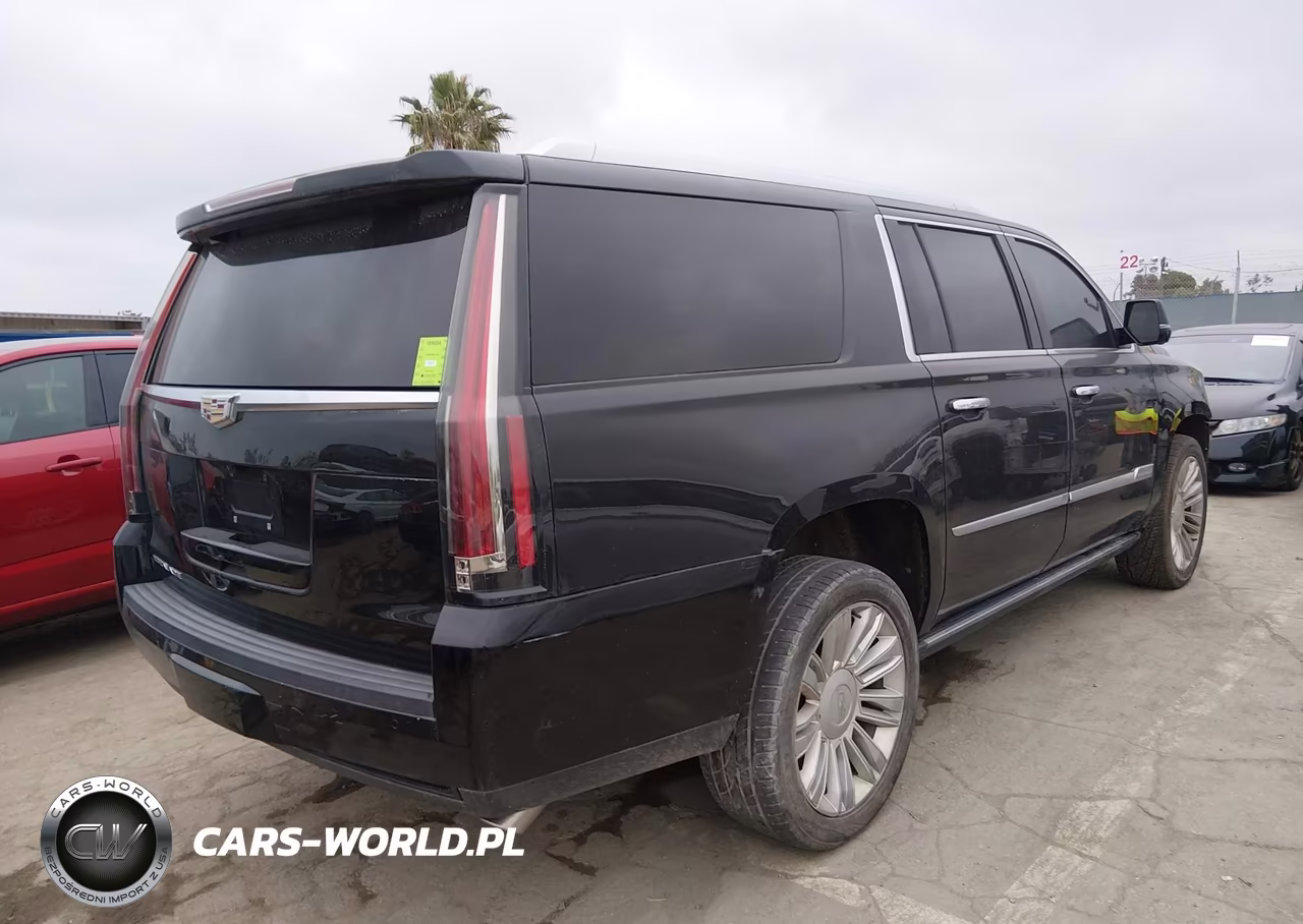 2019 Cadillac Escalade Esv Platinum VIN:1GYS4KKJ0KR243704 - 4