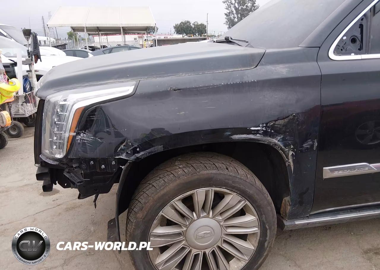 2019 Cadillac Escalade Esv Platinum VIN:1GYS4KKJ0KR243704 - 6