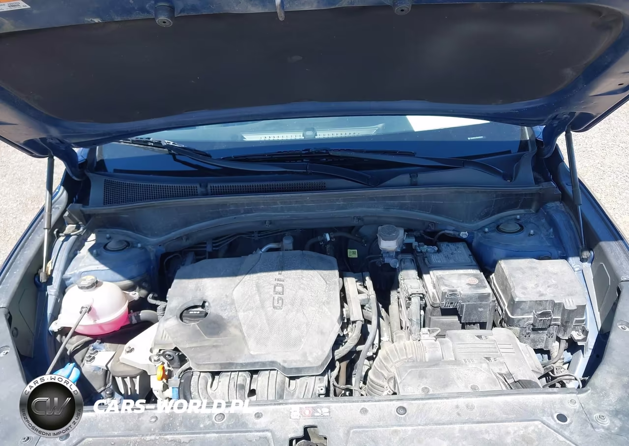 2021 Hyundai Santa Fe Se VIN:5NMS1DAJ5MH370709 - 10