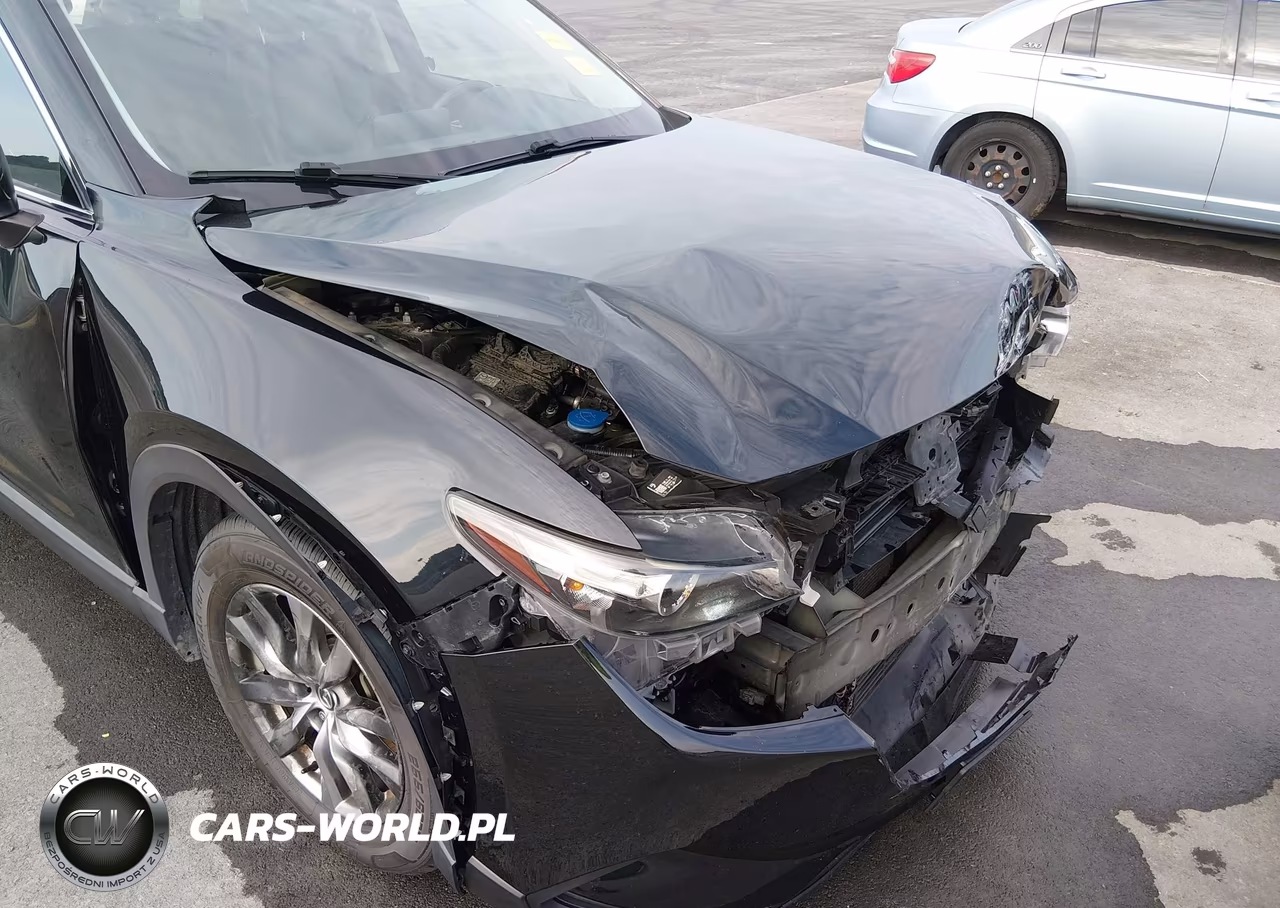 2016 Mazda Cx-9 Touring VIN:JM3TCACY7G0103641 - 20