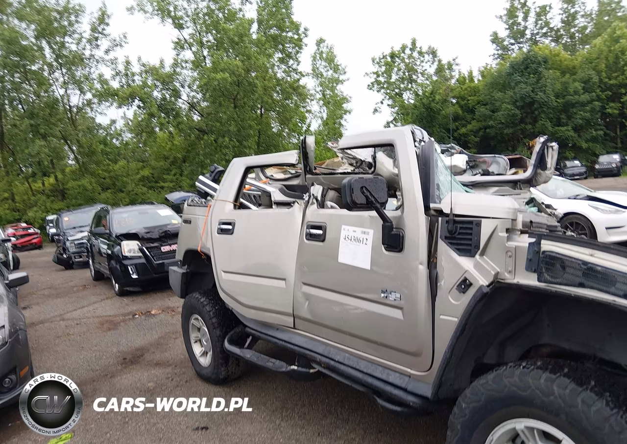 2004 Hummer H2 VIN:5GRGN23U44H117743 - 12