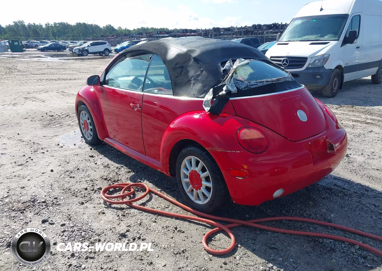 2005 Volkswagen New Beetle Gls VIN:3VWCM31Y35M361666 - 3