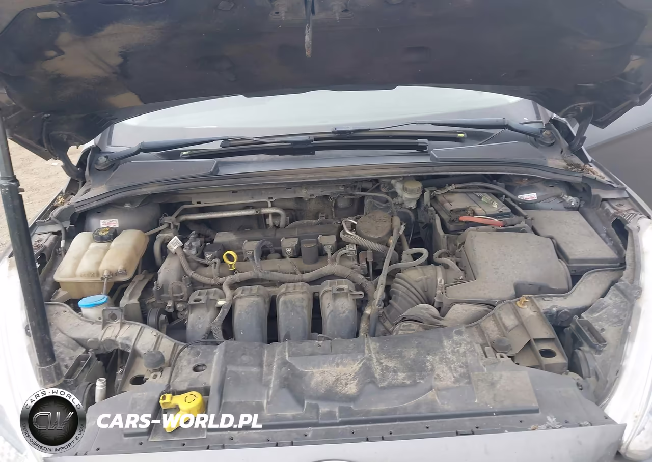 2015 Ford Focus Se VIN:1FADP3F22FL262199 - 10