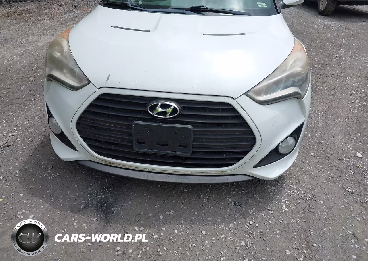 2014 Hyundai Veloster Turbo R-Spec VIN:KMHTC6AE0EU208554 - 12