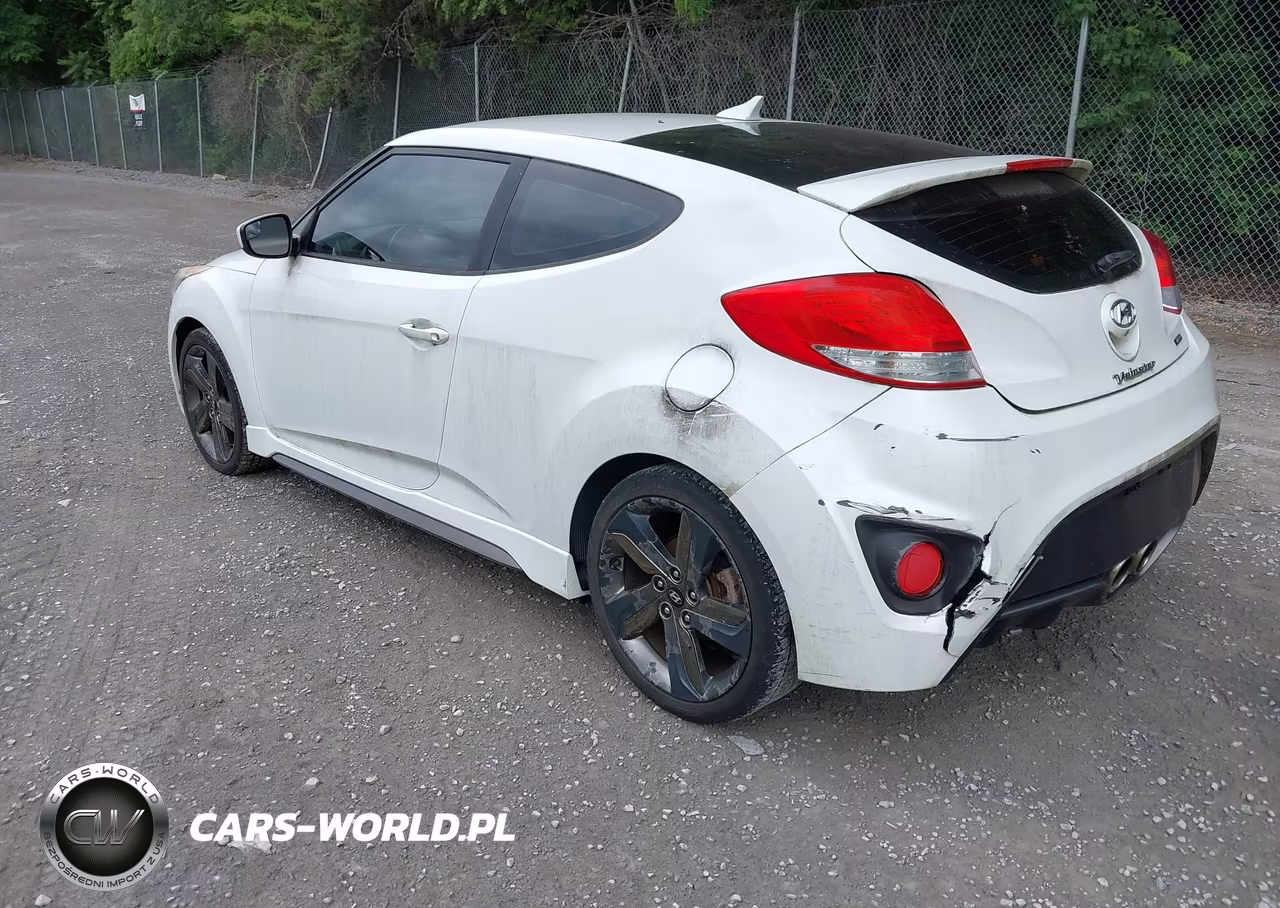 2014 Hyundai Veloster Turbo R-Spec VIN:KMHTC6AE0EU208554 - 3