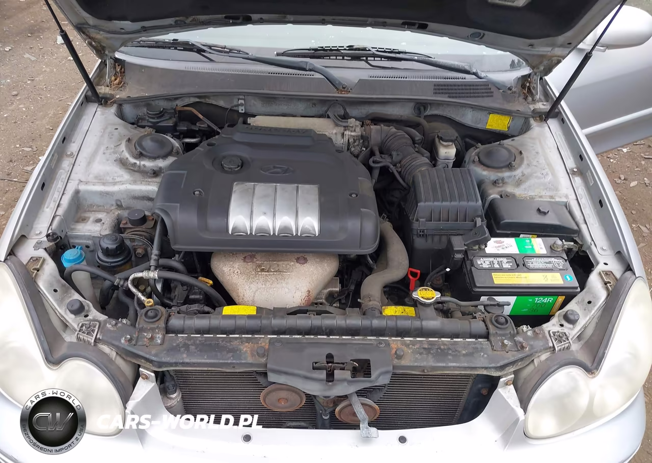 2003 Hyundai Sonata VIN:KMHWF25S03A825884 - 10