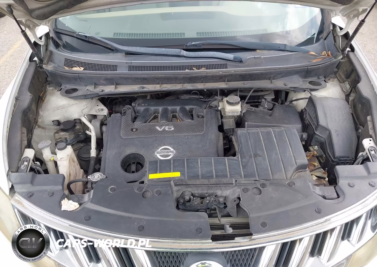 2009 Nissan Murano Sl VIN:JN8AZ18U69W024356 - 10