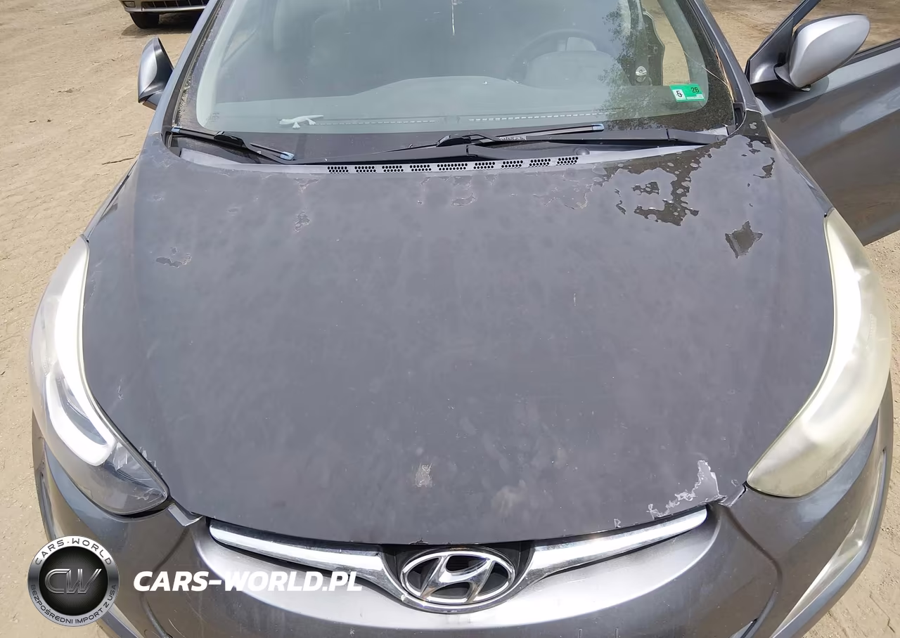 2016 Hyundai Elantra Se VIN:KMHDH4AE5GU621938 - 10