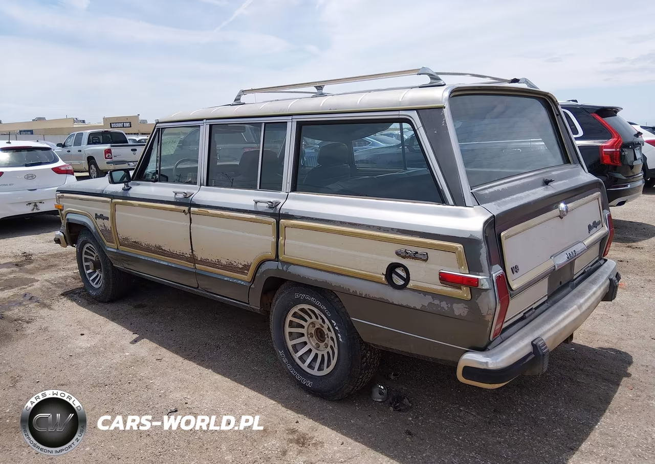 1989 Jeep Grand Wagoneer VIN:1J4GS5875KP100302 - 3