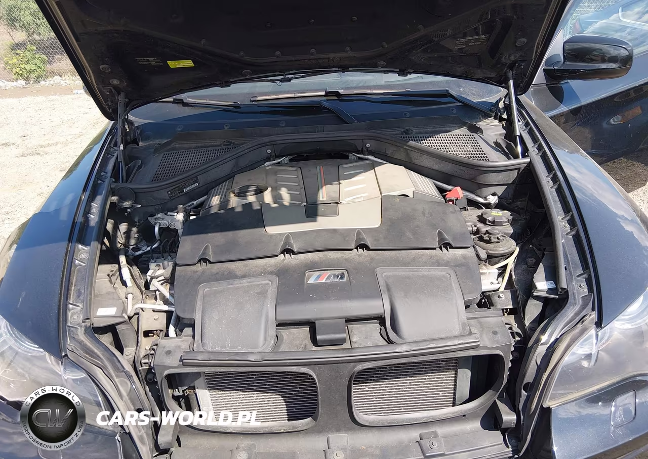 2013 BMW X6 M VIN:5YMGZ0C51D0C40105 - 10
