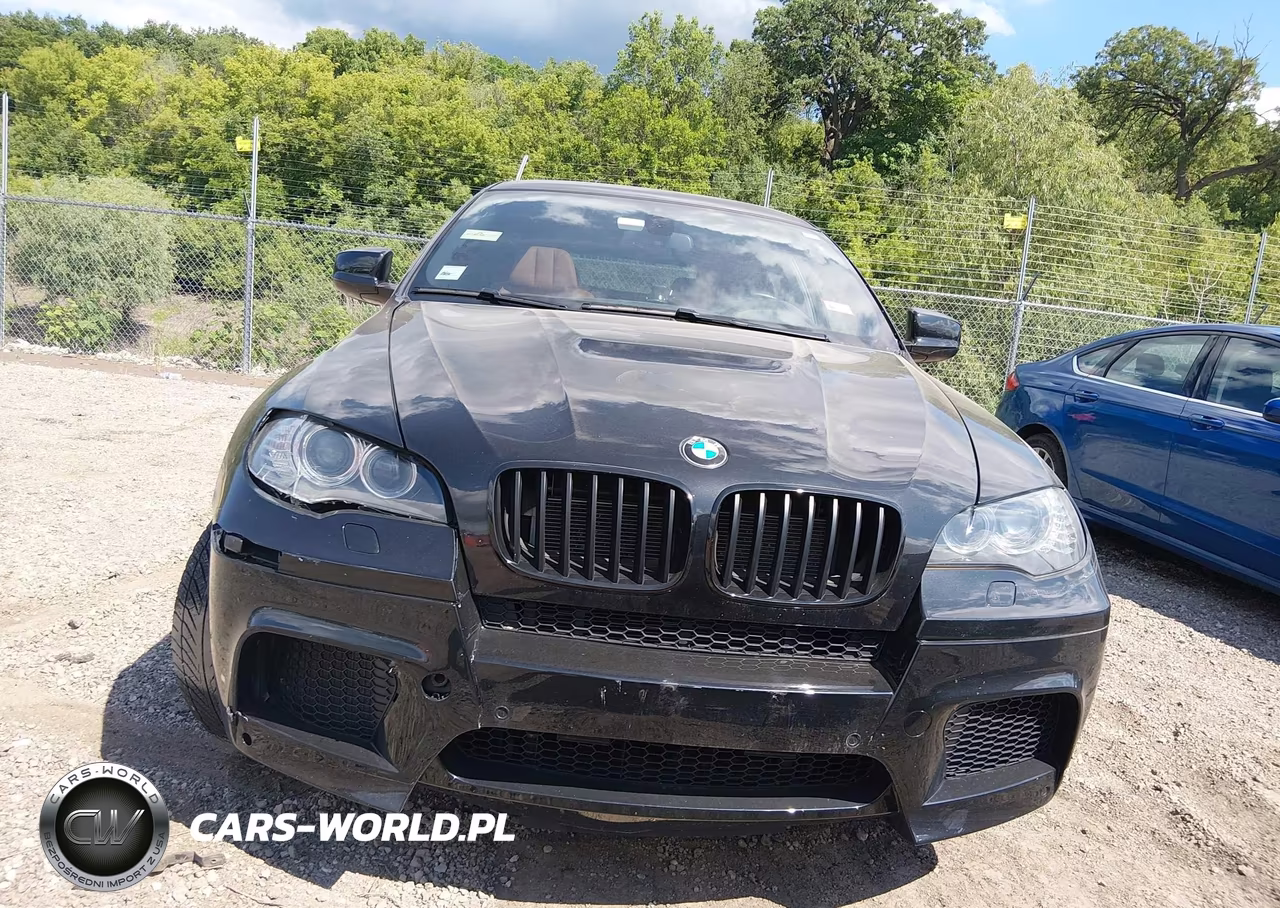 2013 BMW X6 M VIN:5YMGZ0C51D0C40105 - 12