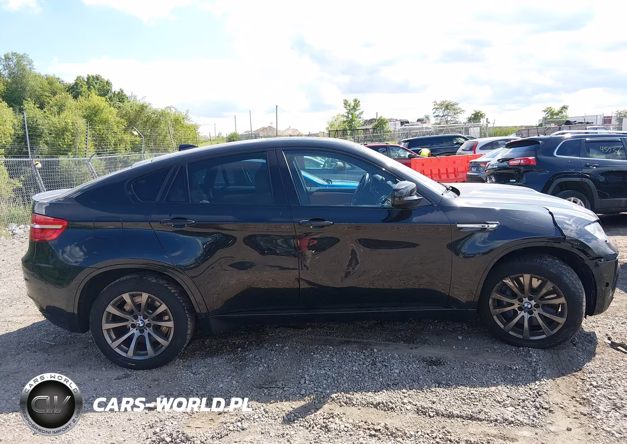 2013 BMW X6 M VIN:5YMGZ0C51D0C40105 - 13