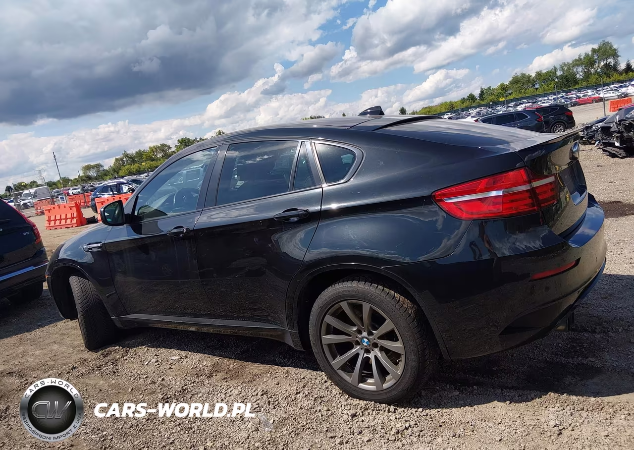 2013 BMW X6 M VIN:5YMGZ0C51D0C40105 - 14