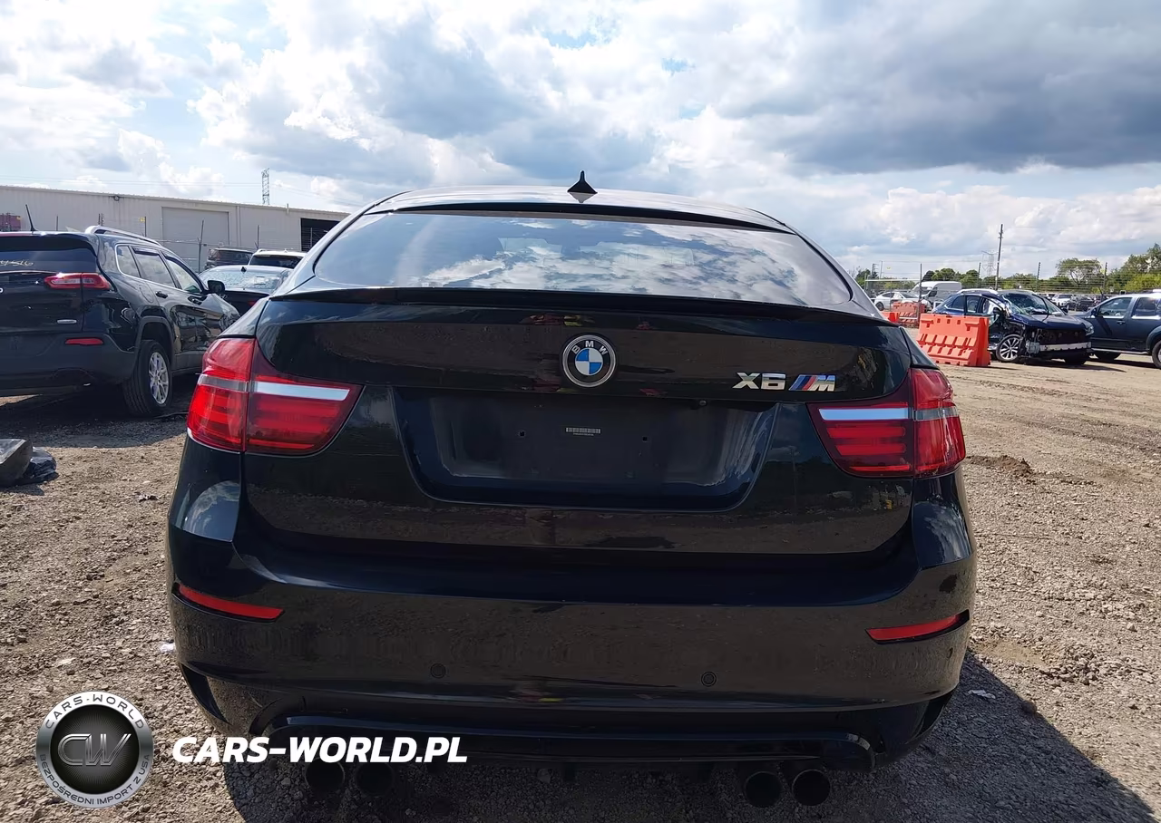 2013 BMW X6 M VIN:5YMGZ0C51D0C40105 - 16