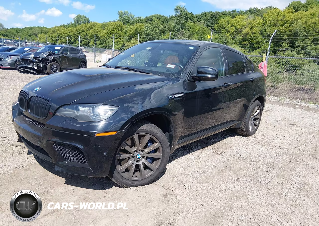 2013 BMW X6 M VIN:5YMGZ0C51D0C40105 - 2