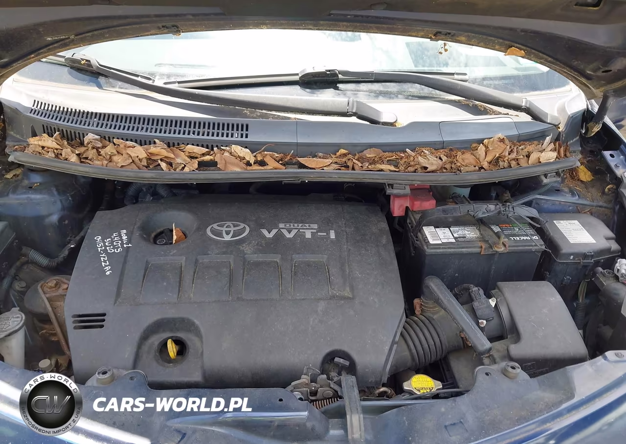 2008 Scion Xd VIN:JTKKU10428J017449 - 10