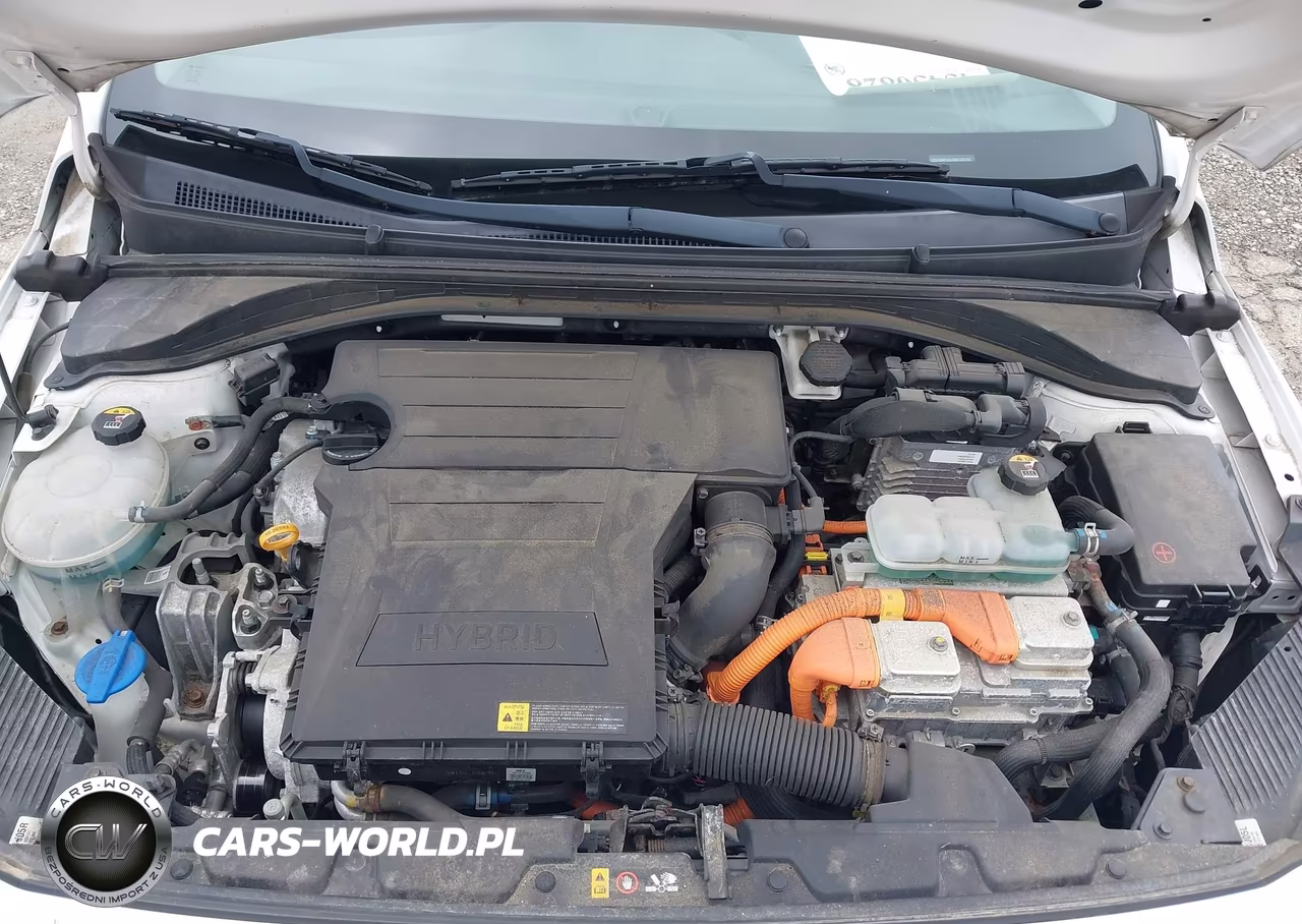 2019 Hyundai Ioniq Hybrid Blue VIN:KMHC65LC3KU106710 - 10