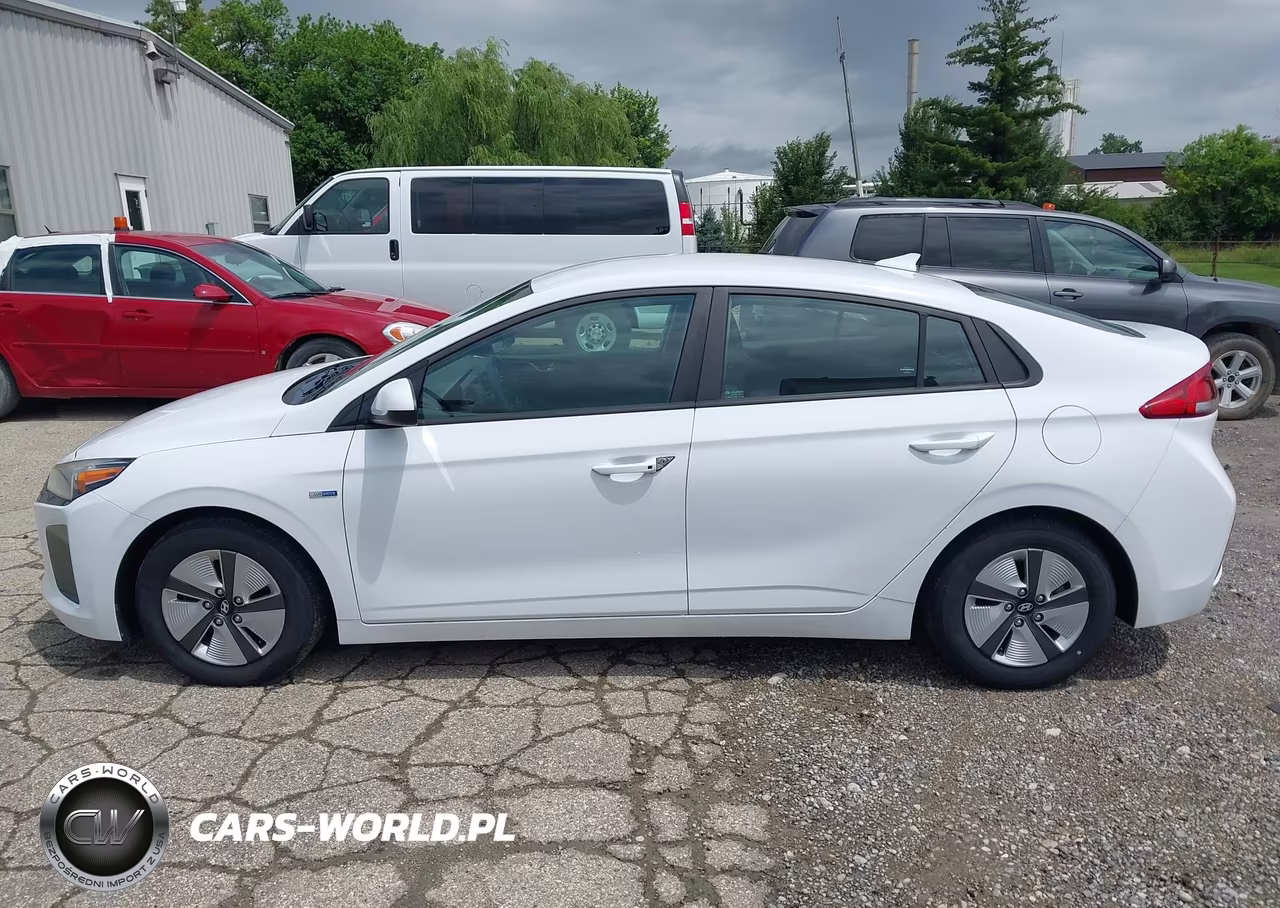 2019 Hyundai Ioniq Hybrid Blue VIN:KMHC65LC3KU106710 - 17